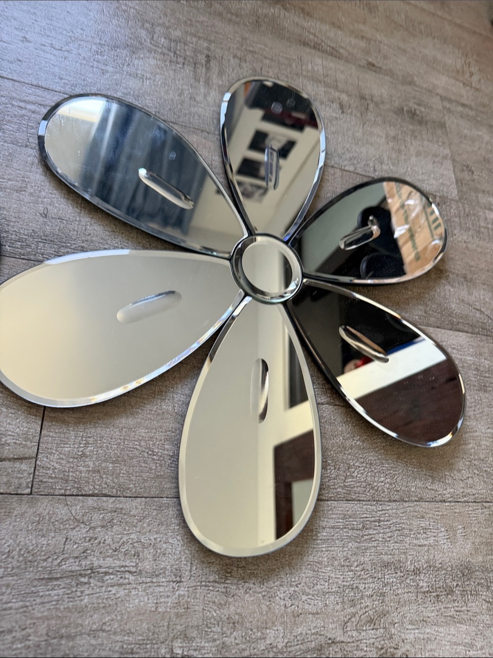 Pottery Barn Kids Daisy Petal Wall Mirrors - Black & Silver - Picture 4 of 4